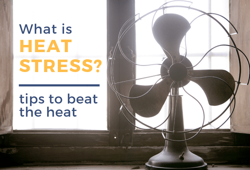What Is Heat Stress