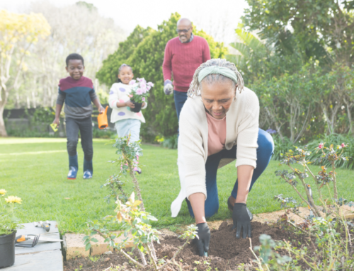 Preparing to Spring into Action: Intergeneration Activities for Seniors and Youth